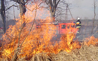 Kolejne ofiary wypalania traw